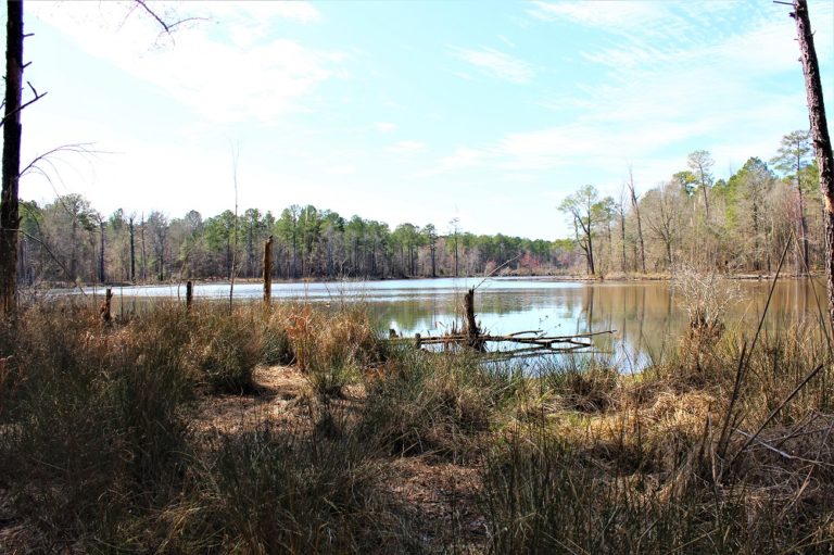 Beautiful 10+ Acre Lake Land Company