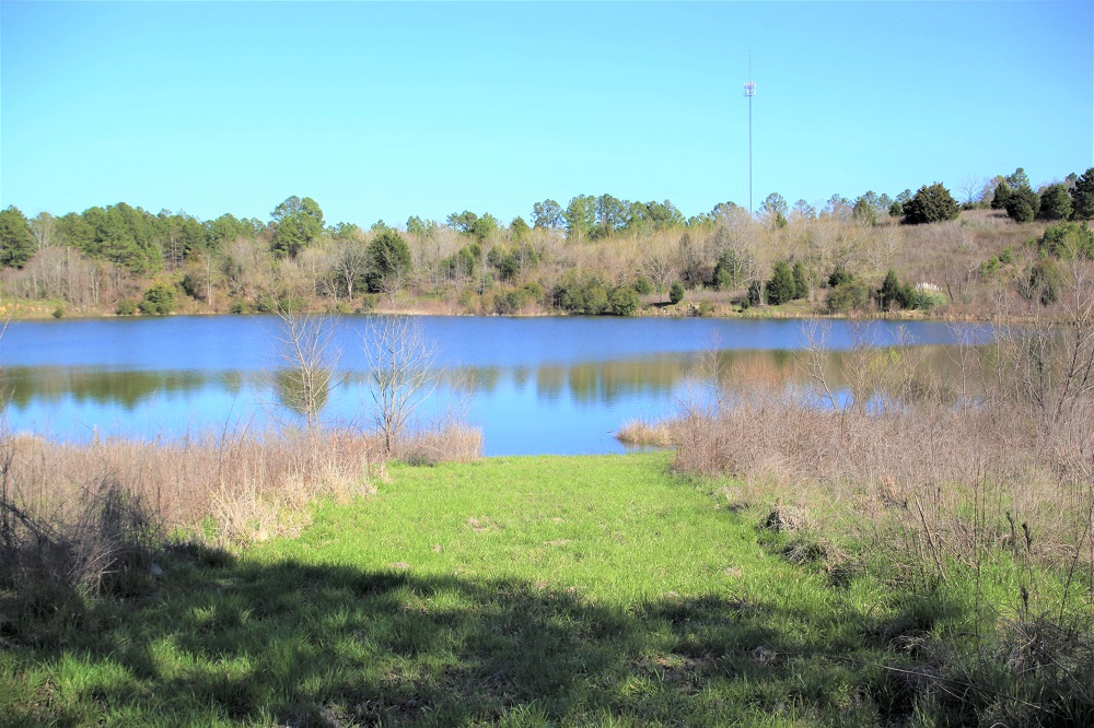 beautiful-property-with-2-acre-pond-and-frontage-on-7-5-acre-lake