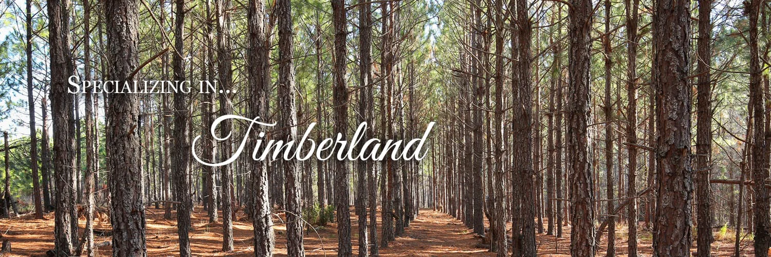 Specializing in Timberland